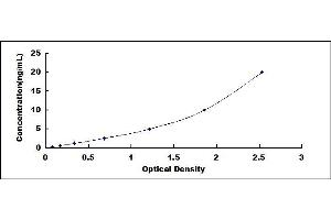 Typical standard curve (ANG ELISA 试剂盒)