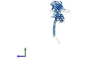 Protein Structure (PS) image for Cytokine Receptor-Like Factor 3 (CRLF3) (AA 1-442) protein (His tag) (ABIN7546700)