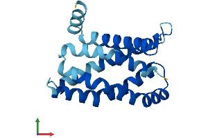 AlphaFold protein structure predicition of Human Recombinant MPV17 Protein, UniprotID P39210