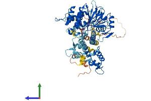 Protein Structure (PS) image for Protein Phosphatase, EF-Hand Calcium Binding Domain 1 (PPEF1) (AA 1-650) protein (His tag) (ABIN7562354)