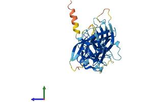 Protein Structure (PS) image for Arrestin 3, Retinal (X-Arrestin) (ARR3) (AA 1-388) protein (His tag) (ABIN7552468)