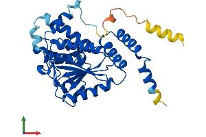 Protein Structure (PS) image for Enoyl CoA Hydratase Domain Containing 1 (ECHDC1) (AA 1-307) protein (His tag) (ABIN7547330)