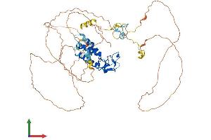 Protein Structure (PS) image for Male-Specific Lethal 2 Homolog (MSL2) (AA 1-577) protein (His tag) (ABIN7564020)