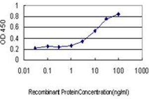 Detection limit for recombinant GST tagged SNX12 is approximately 1ng/ml as a capture antibody. (SNX12 抗体  (AA 53-159))
