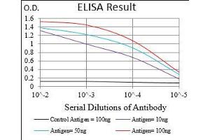 Black line: Control Antigen (100 ng), Purple line: Antigen(10 ng), Blue line: Antigen (50 ng), Red line: Antigen (100 ng), (BPIFA2 抗体  (AA 16-169))