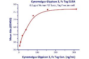 Image no. 2 for Glypican 3 (GPC3) (AA 25-559) (Active) protein (Fc Tag) (ABIN4949055)