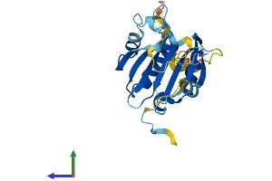 Protein Structure (PS) image for Eukaryotic Translation Initiation Factor 4E Family Member 3 (EIF4E3) (AA 1-224) protein (His tag) (ABIN7548424)