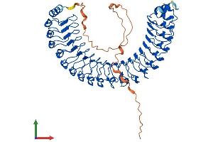 Protein Structure (PS) image for Leucine-rich repeat protein SHOC-2 (SHOC2) (AA 1-582) protein (His tag) (ABIN7546121)