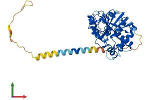 Protein Structure (PS) image for ST6 (Alpha-N-Acetyl-Neuraminyl-2,3-beta-Galactosyl-1,3)-N-Acetylgalactosaminide alpha-2,6-Sialyltransferase 6 (ST6GALNAC6) (AA 1-333) protein (His tag) (ABIN7546056)