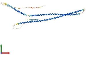 Protein Structure (PS) image for Glial Fibrillary Acidic Protein (GFAP) (AA 1-432) protein (His tag) (ABIN7547921)