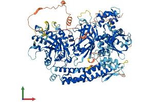 Protein Structure (PS) image for phospholipase C-Like 1 (PLCL1) (AA 1-1096) protein (His tag) (ABIN7563750)