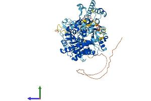 Protein Structure (PS) image for RAD54-Like (RAD54L) (AA 1-747) protein (His tag) (ABIN7555137)