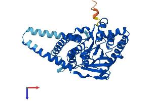 AGPAT4 Protein (AA 1-378) (His tag)
