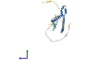 Protein Structure (PS) image for SWI/SNF Related, Matrix Associated, Actin Dependent Regulator of Chromatin, Subfamily E, Member 1 (SMARCE1) (AA 1-411) protein (His tag) (ABIN7562449)