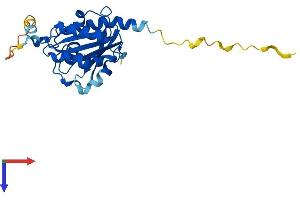 RAB20 Protein (AA 1-234) (His tag)