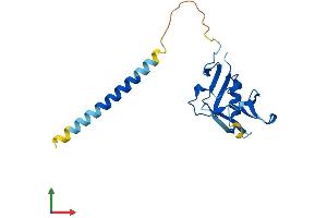 Protein Structure (PS) image for Killer Cell Lectin-Like Receptor Subfamily D, Member 1 (KLRD1) (AA 1-179) protein (His tag) (ABIN7562400)