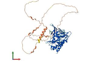 AlphaFold protein structure predicition of Mouse Recombinant Itpka Protein, UniprotID Q8R071