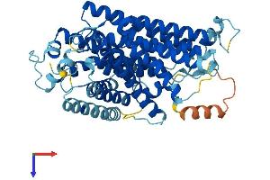 PIGW Protein (AA 1-503) (His tag)