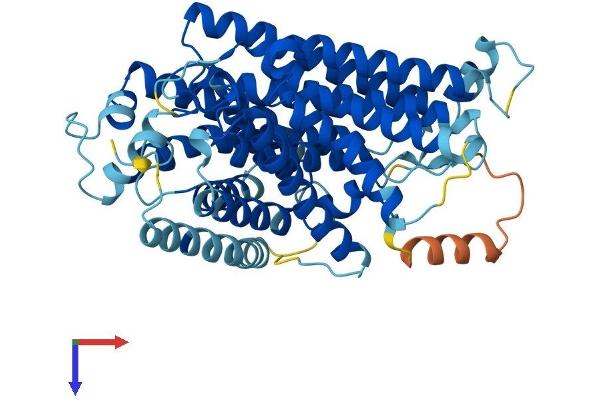 PIGW Protein (AA 1-503) (His tag)