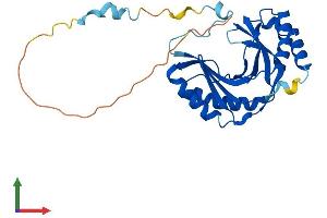 Protein Structure (PS) image for U6 SnRNA Biogenesis 1 (USB1) (AA 1-265) protein (His tag) (ABIN7545053)