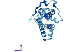 Protein Structure (PS) image for ADP-Ribosylation-Like Factor 6 Interacting Protein 5 (Arl6ip5) (AA 1-188) protein (His tag) (ABIN7559782)