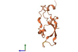 Protein Structure (PS) image for Small Proline Rich Protein 2A (SPRR2A) (AA 1-83) protein (Fc Tag) (ABIN7560553)