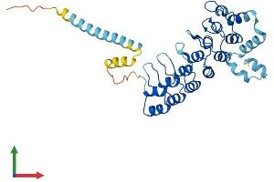 Protein Structure (PS) image for Ankyrin Repeat and SOCS Box Containing 5 (ASB5) (AA 1-329) protein (His tag) (ABIN7552412)