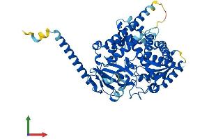 AlphaFold protein structure predicition of Human Recombinant CYP4Z1 Protein, UniprotID Q86W10