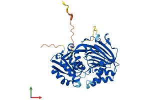 Protein Structure (PS) image for Sphingosine Kinase 1 (SPHK1) (AA 1-382) protein (His tag) (ABIN7559359)