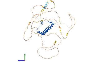 Protein Structure (PS) image for Myocyte Enhancer Factor 2C (MEF2C) (AA 1-474) protein (His tag) (ABIN7564559)