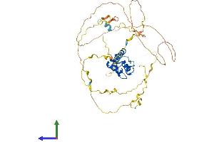 Protein Structure (PS) image for Zinc Finger Protein 207 (ZNF207) (AA 1-478) protein (His tag) (ABIN7556132)