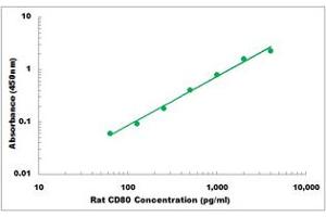 Representative Standard Curve (CD80 ELISA 试剂盒)