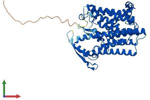 AlphaFold protein structure predicition of Human Recombinant DHCR7 Protein, UniprotID Q9UBM7