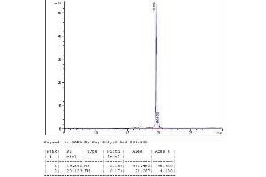 Image no. 3 for Interleukin 10 (IL10) (AA 19-178) (Active) protein (ABIN2018051) (IL-10 Protein (AA 19-178))