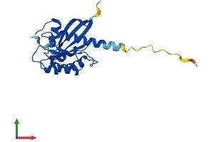 Protein Structure (PS) image for RAB9B, Member RAS Oncogene Family (RAB9B) (AA 1-201) protein (His tag) (ABIN7558638)
