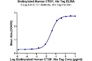 ELISA image for Connective Tissue Growth Factor (CTGF) (AA 27-349) protein (His-Avi Tag,Biotin) (ABIN7274343)
