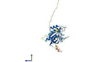 Protein Structure (PS) image for RAB26, Member RAS Oncogene Family (RAB26) (AA 1-256) protein (His tag) (ABIN7551248)