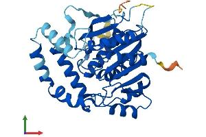 Protein Structure (PS) image for Lipid Droplet-Associated Hydrolase (LDAH) (AA 1-326) protein (His tag) (ABIN7558918)