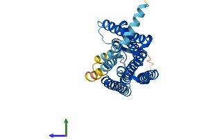 Protein Structure (PS) image for Olfactory Receptor, Family 7, Subfamily D, Member 2 (OR7D2) (AA 1-312) protein (His tag) (ABIN7550105)