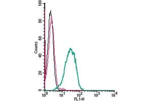 Cell surface detection of GPR109A by indirect flow cytometry in live intact mouse J774 macrophage cell line: + goat-anti-rabbit-FITC. (HCAR2 抗体  (Extracellular))