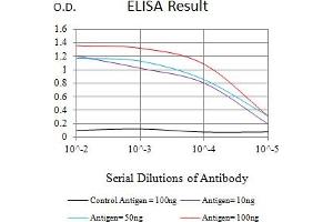 Black line: Control Antigen (100 ng),Purple line: Antigen (10 ng), Blue line: Antigen (50 ng), Red line:Antigen (100 ng) (RBM9 抗体  (AA 1-145))