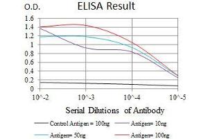 Black line: Control Antigen (100 ng), Purple line: Antigen(10 ng), Blue line: Antigen (50 ng), Red line: Antigen (100 ng), (GATA6 抗体  (AA 491-557))
