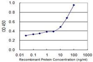 Detection limit for recombinant GST tagged ADPRH is 3 ng/ml as a capture antibody. (ADPRH 抗体  (AA 23-121))