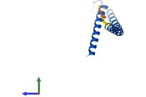 Protein Structure (PS) image for Fracture Callus 1 Homolog (FXC1) (AA 1-100) protein (His tag) (ABIN7556310)