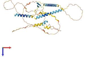 IER5L Protein (AA 1-406) (His tag)