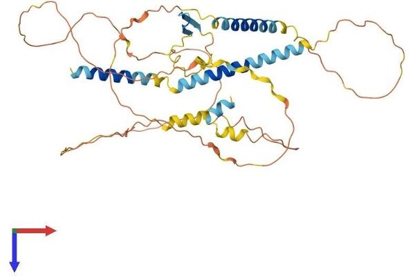 IER5L Protein (AA 1-406) (His tag)