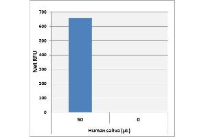 Biochemical Assay (BCA) image for Pyruvate Assay Kit (ABIN5067572)