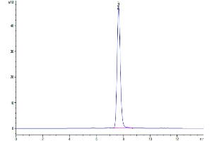 Size-exclusion chromatography-High Pressure Liquid Chromatography (SEC-HPLC) image for Growth Differentiation Factor 15 (GDF15) (AA 197-308) protein (Fc Tag) (ABIN7274719)