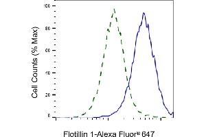 Validation of Flotillin 1 knockdown using flow cytometry. (Recombinant Flotillin 1 抗体)