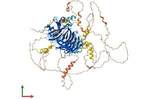 Protein Structure (PS) image for Breast Carcinoma Amplified Sequence 3 (BCAS3) (AA 1-928) protein (His tag) (ABIN7564537)
